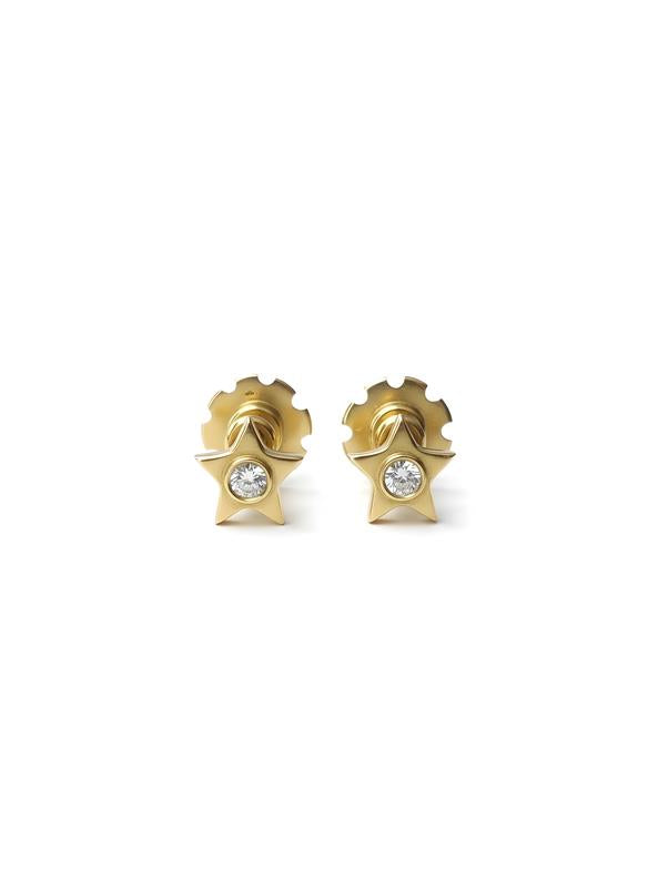 Twinkle Star Ear Piercing Earring